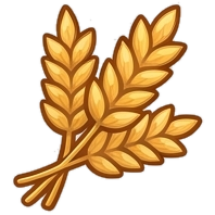 wheat